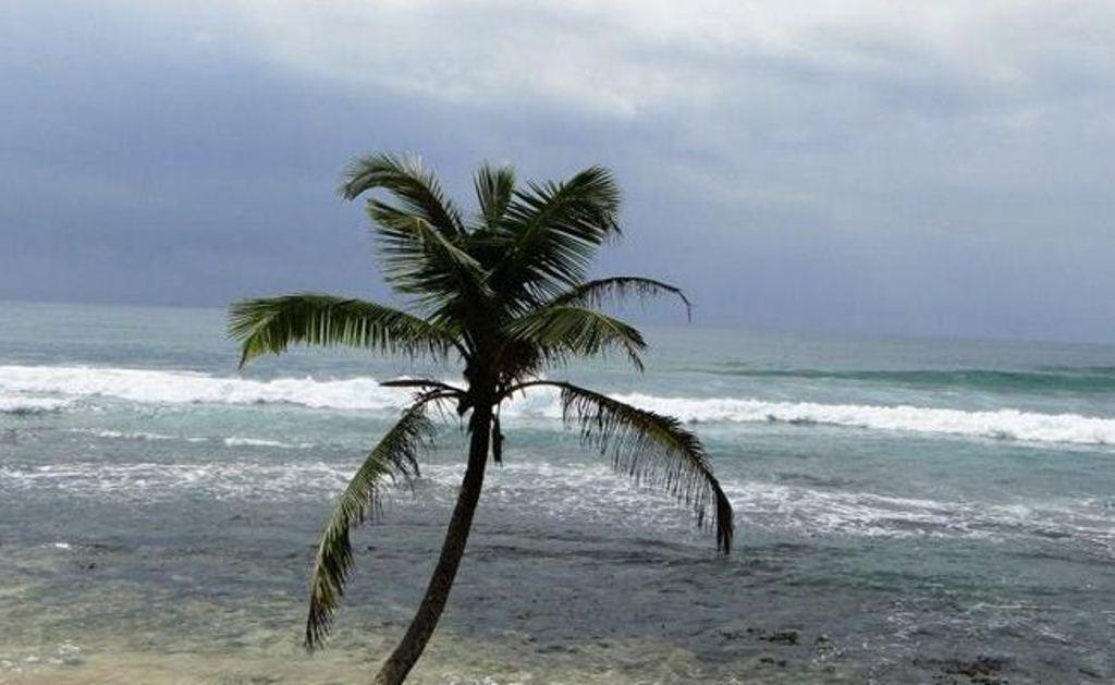 Kixi Beach Unawatuna Eksteriør bilde